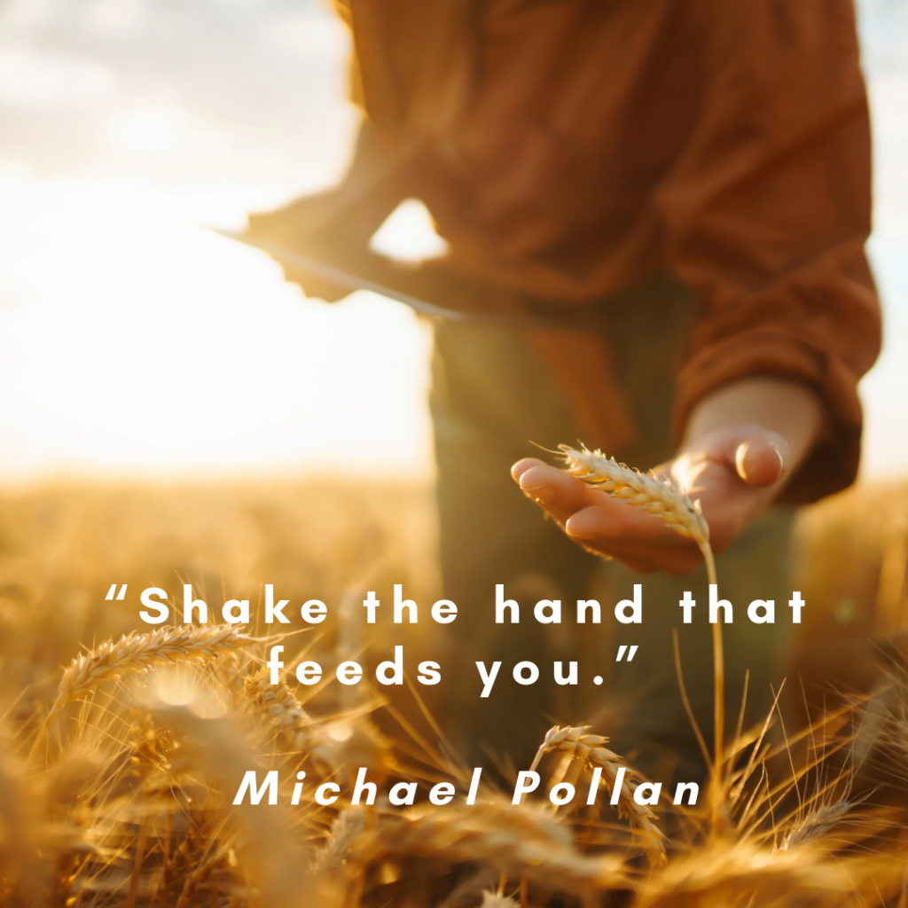 Mindful Eating and Tasting 